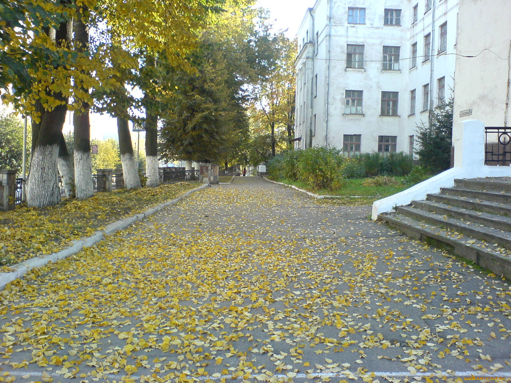 Фото улицы школы. Двор школы осенью. Осенний школьный двор. Школьный двор осенью. Школьный двор осень.